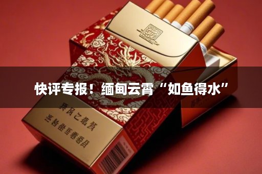 快评专报！缅甸云霄“如鱼得水”